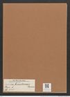 Navicula brasiliensis Grun. (de-Toni-Nr.: Genus 1, Species 135) Zeichnungen Sammlung Grunow Mappe 00119 (Herbarium_W_Grunow_drawings_Folder_00119)
